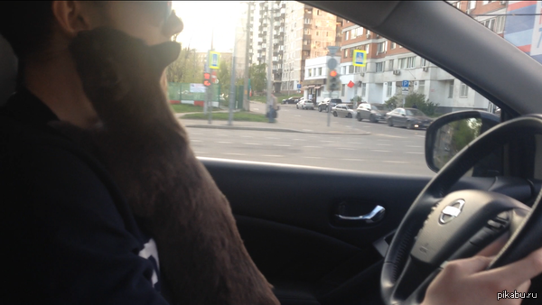 ��� ���� ������� ������ ������