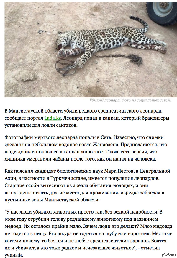 ������������� ������� ����� ������� ���������������� ��������