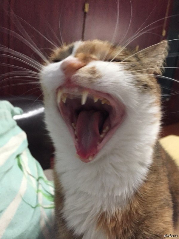   ! 
