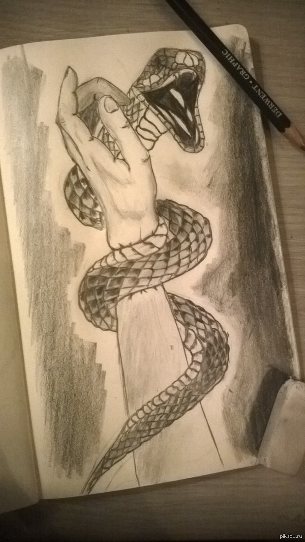 Hand and snake. - My, My, Drawing, Pencil, Snake, Hand