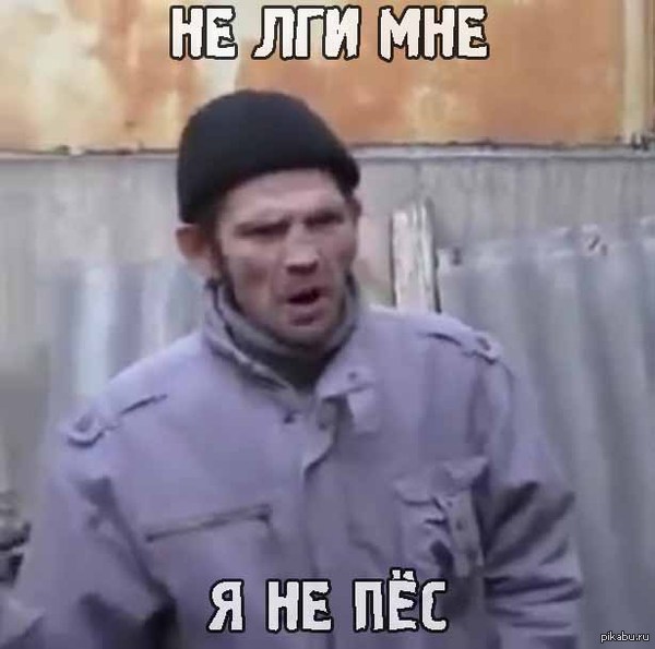 You don't me lie, I don't a dog