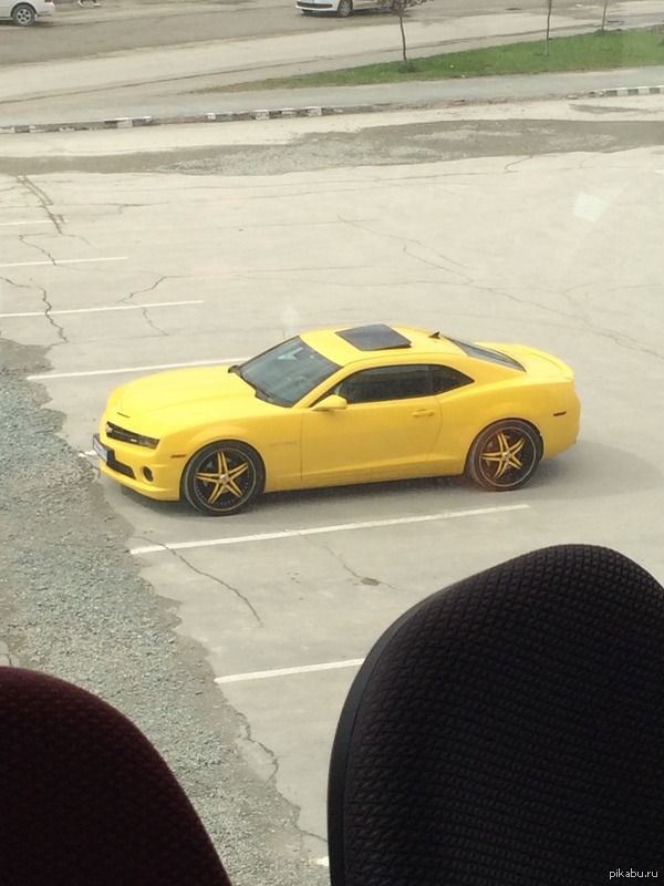 � ��� ������� �������.