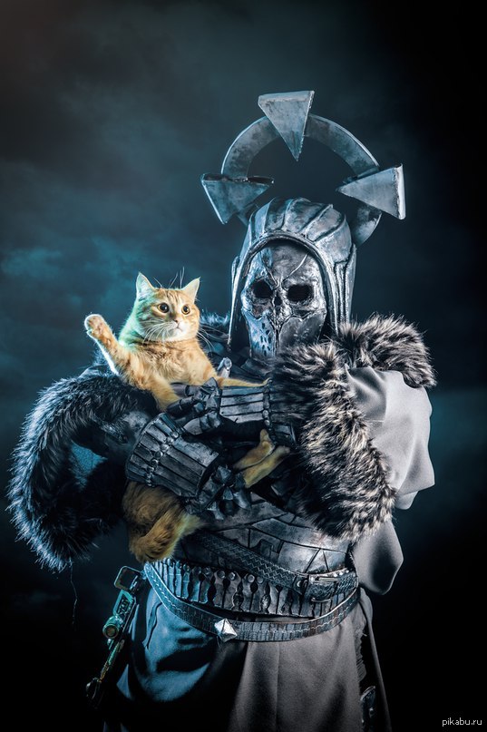 Everyone loves cats! - Cosplay, cat, The photo, Witcher