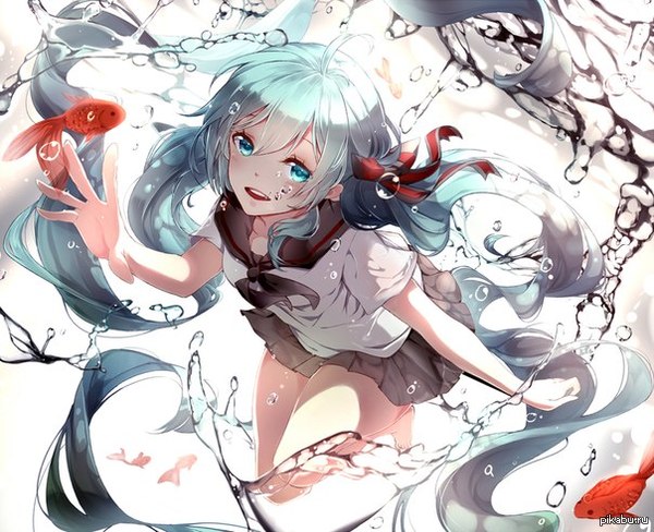 Vocaloid Bottle Miku 