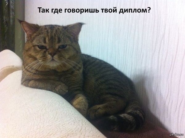 Когда зашел в деканат.