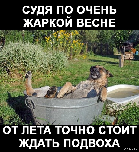 ������...