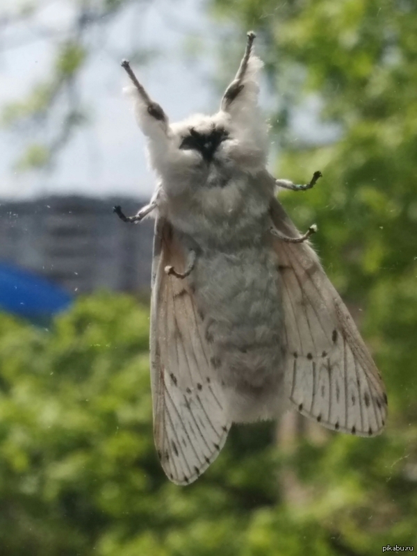 ����� � �������� ����� :)