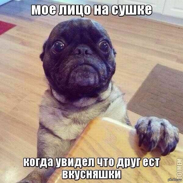         ^___^ 