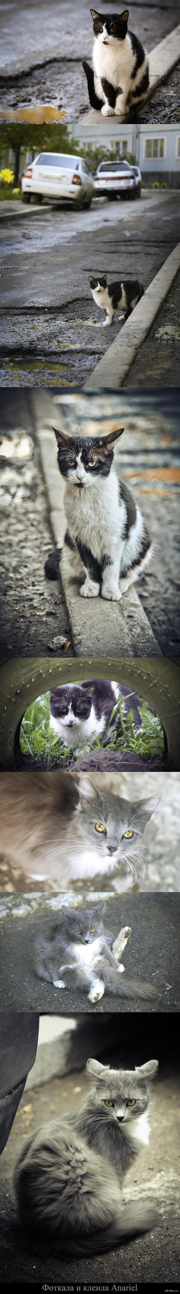 �������� ����