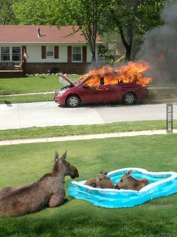 ��� �������� � ������