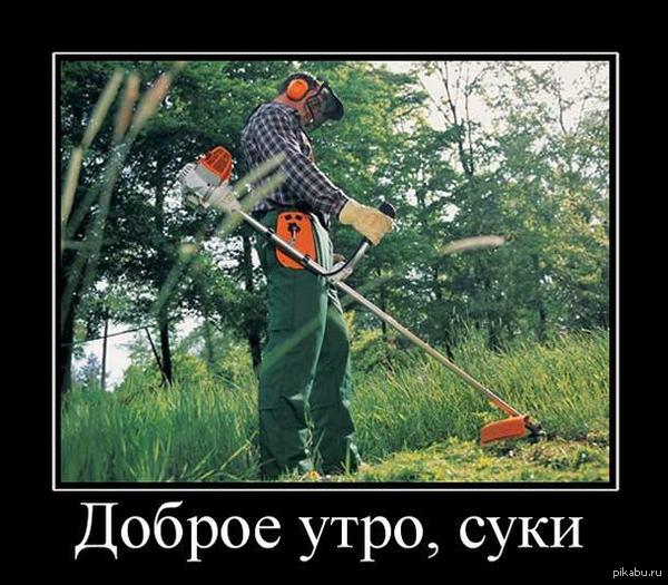 ��������.