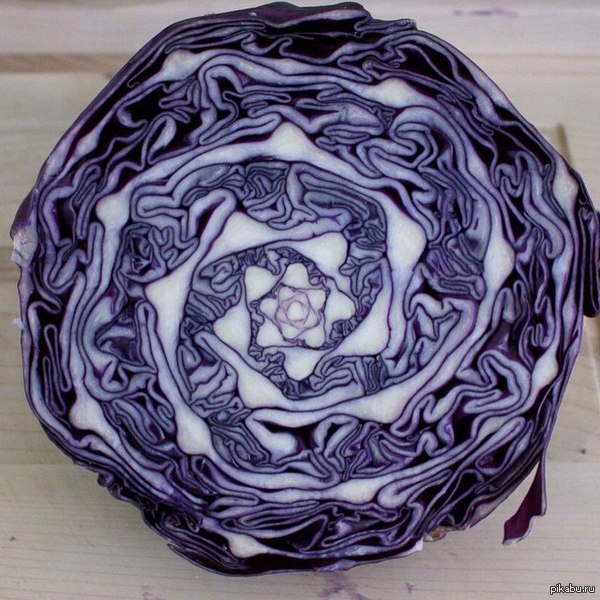 Психоделический перфекционизм