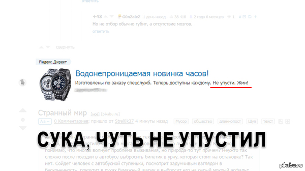 ���� �� �������