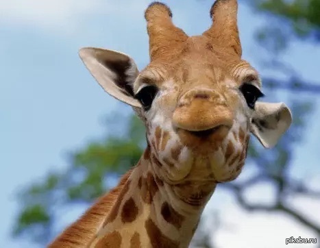 ������ �� ���������� ����, �������! �� ������� ��� ������� � ���. � ��� ����� � ���, ���� � �� �������� �� ������ �� ����.