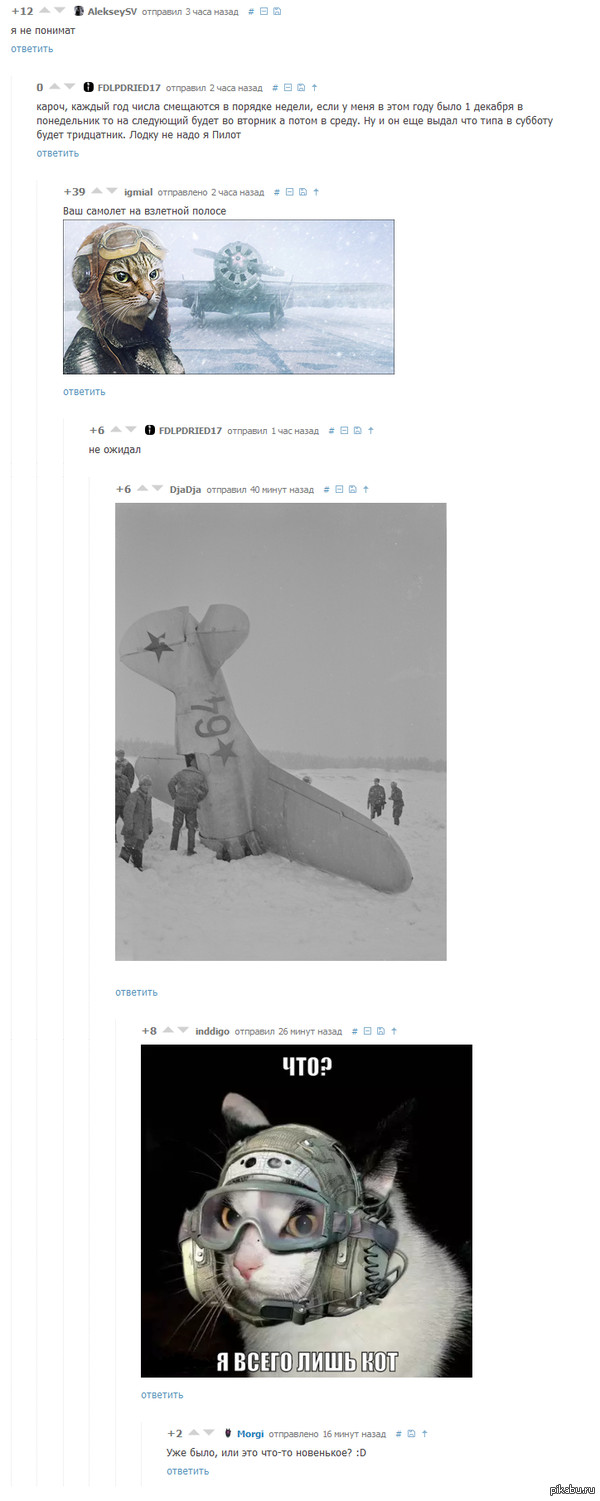 Коты и самолеты