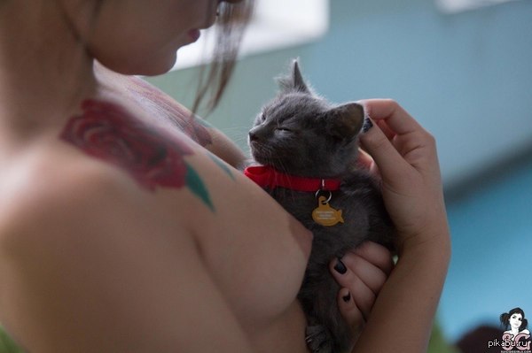 girl and kitten :) - NSFW, Piercing, Strawberry, Breast, Tattoo, Beautiful girl, cat, Suicide girls