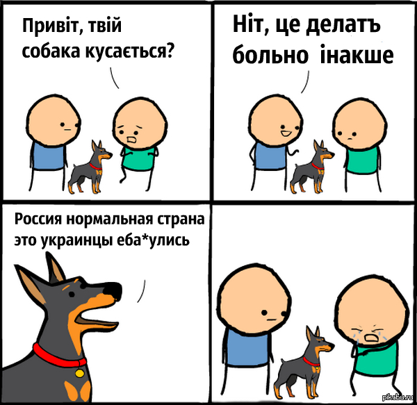 Собака, которая делает больно Извините за мой импровизированный украинский , хотя кого это волнует