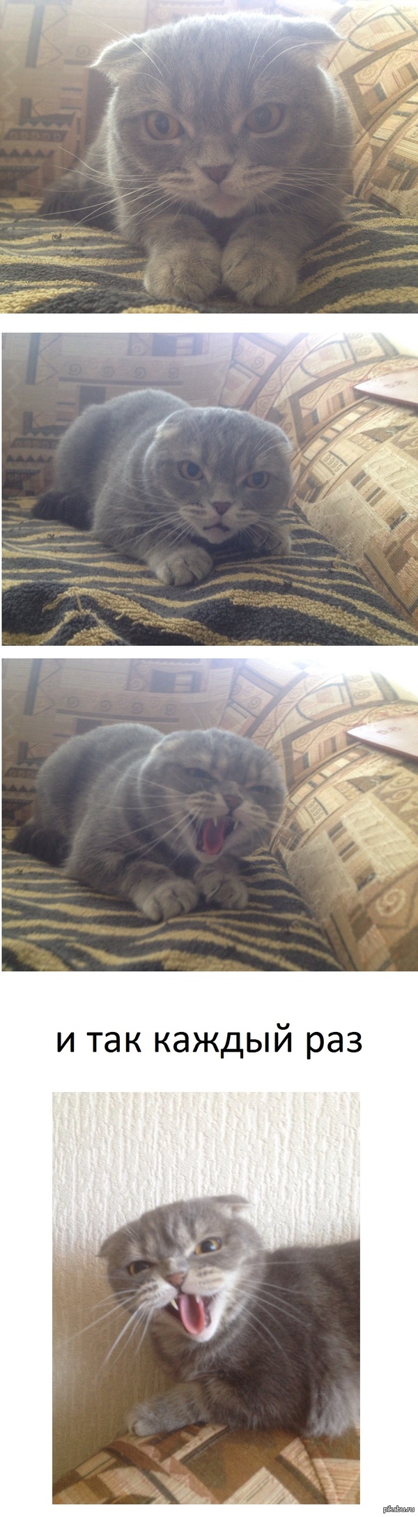 ������ ����� ��������