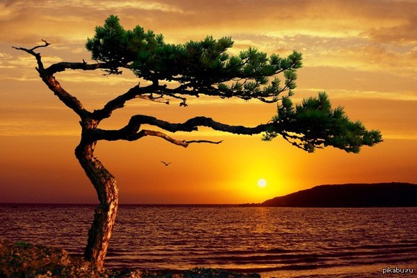 ����������� ����� �� ����.