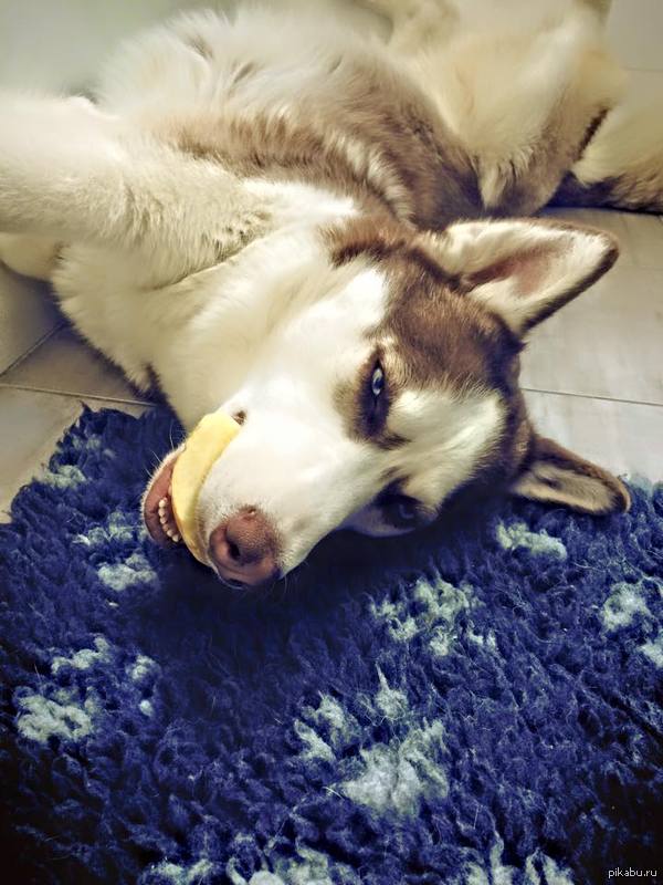 ���� �������...