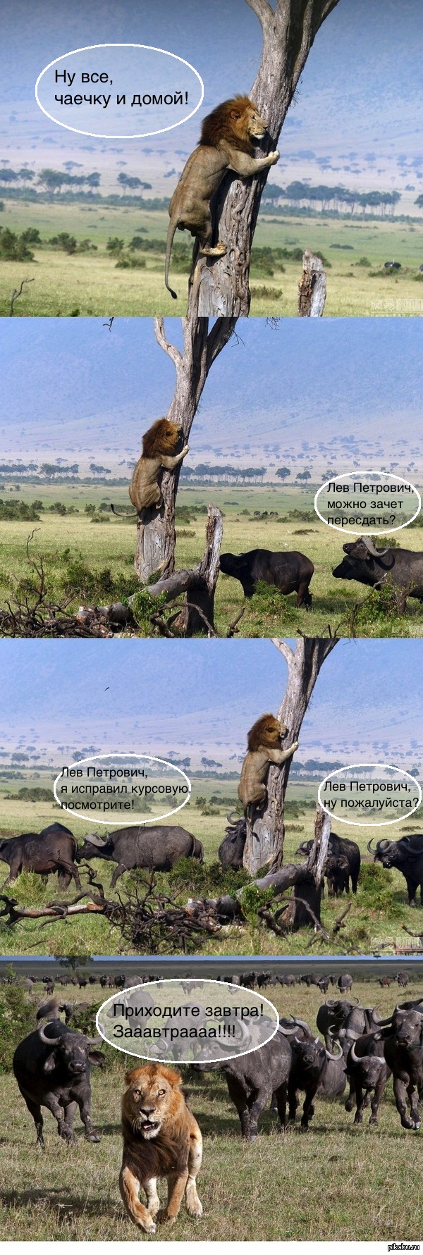 �� ���� �������� ������