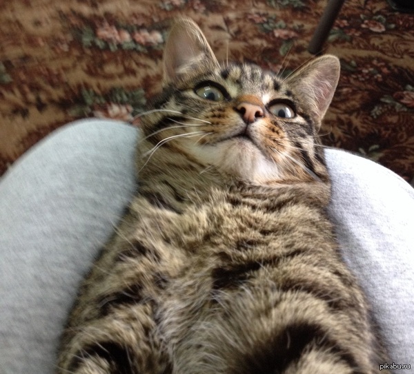 ...."��� �� ������?"