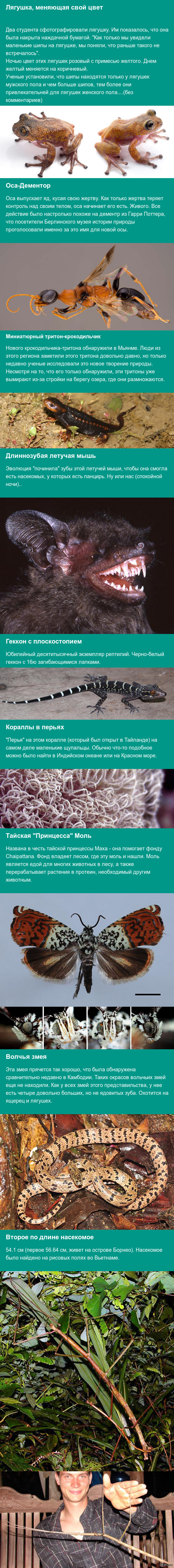 Осы-дементры, новые летучие мыши-вампиры, крокодильи гекконы.. Эволюция, ты меня пугаешь.