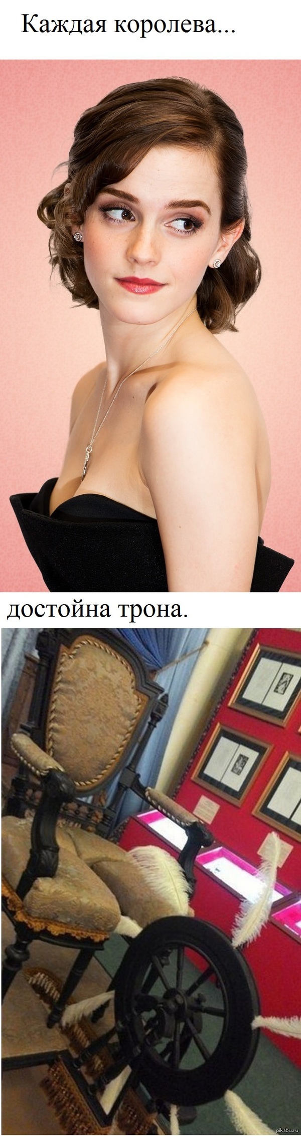 ���� ������ � ���� �����������