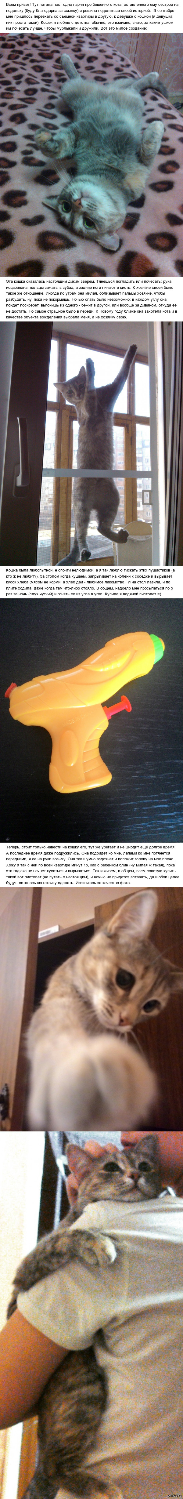 Смирение и покой