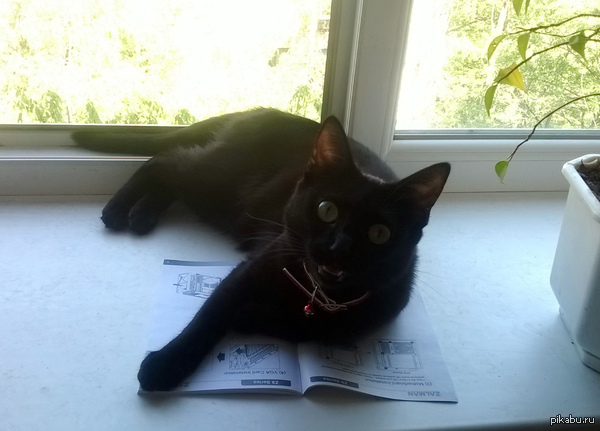 �������� ����� ����)