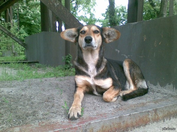 ����������: ������-���������