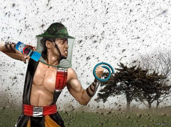 -       , 