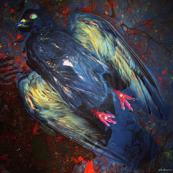 ��������� ��� ����?