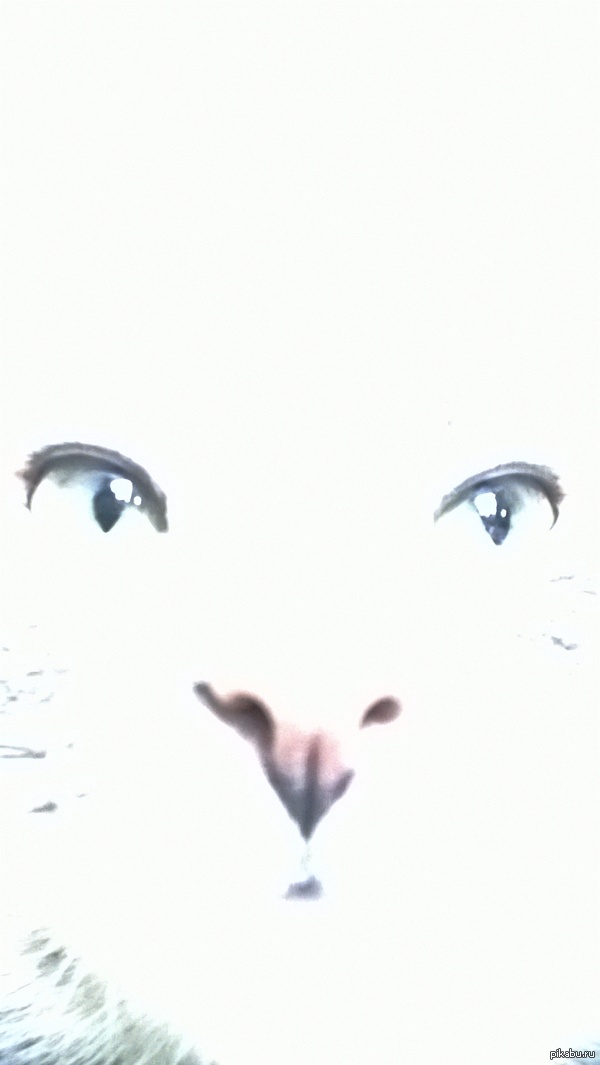 ����� ������� "�������" ������.