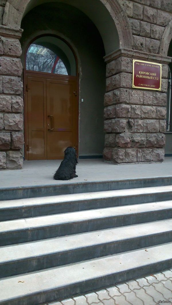 ������, ������� ������.