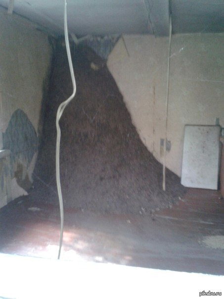 суппер муравейник