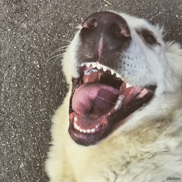 ������! � ����� ���� ������ �� ������������ ����, ��� � ����� �������� :)