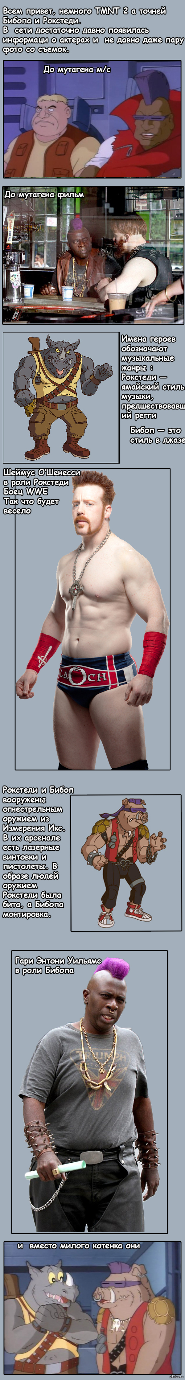 Teenage Mutant Ninja Turtles