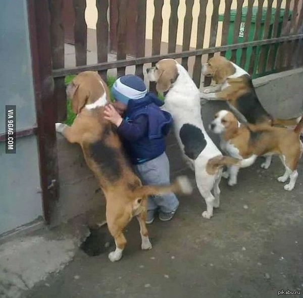 ���� 15. ���� �� ��� ��� �� ��������.