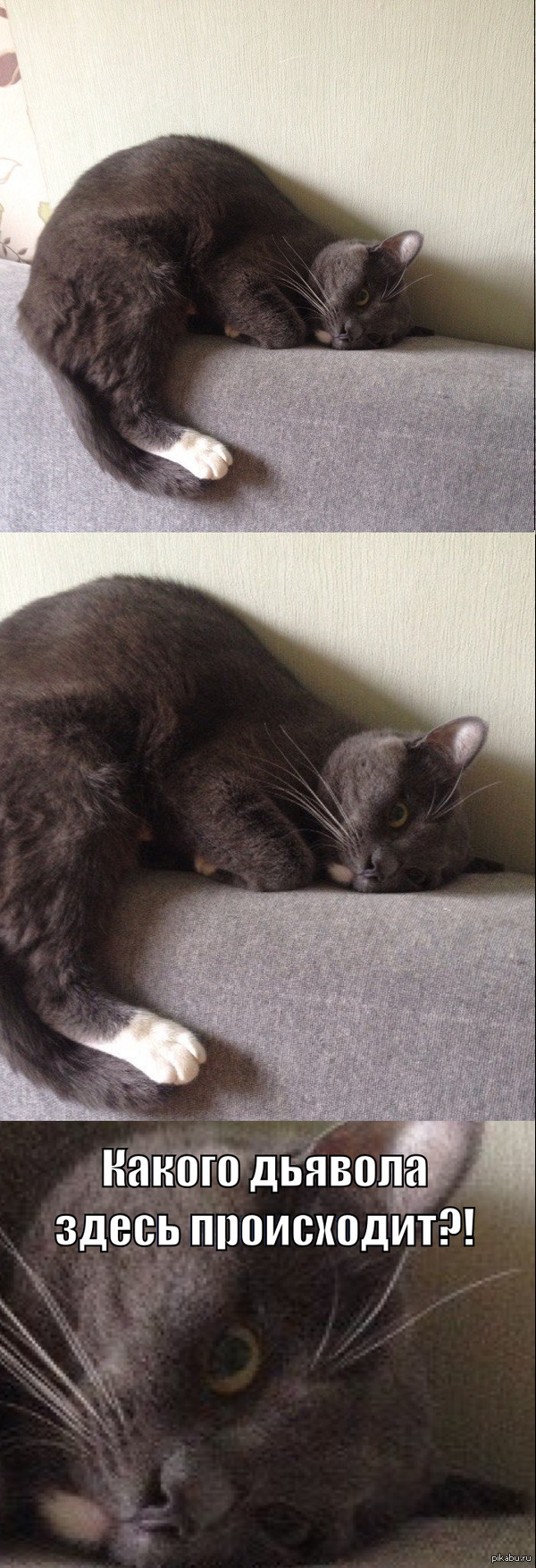 ����� �� ��� ������� ��� ���������� �������...