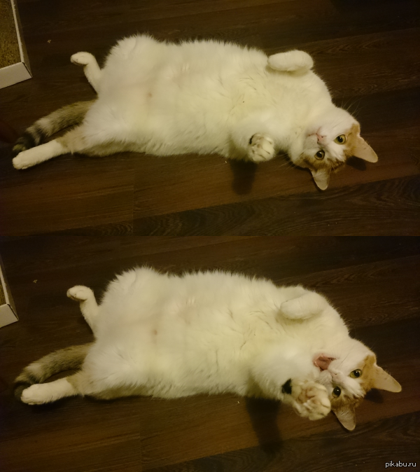 Эй ты, сюда иди!