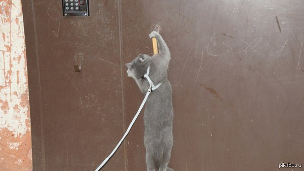 "�������� ������,������,������ �������!!!"