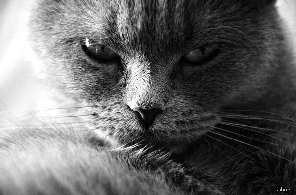 �������������� ����� ���� ���������� �� ��� �������.