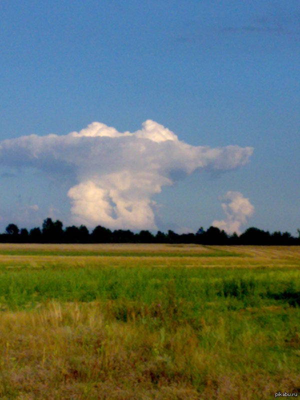 ������ ���-�� ����� �������.