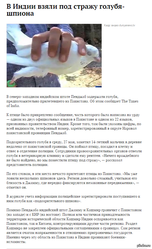 � ����� ���� ��� ������