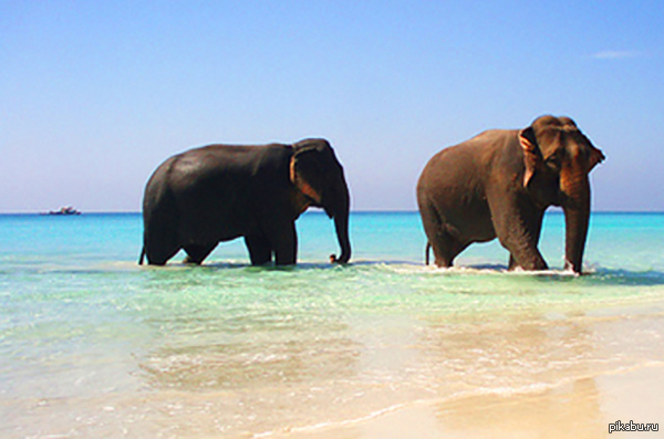 ����� ������ � ����� � ������ ����� �����