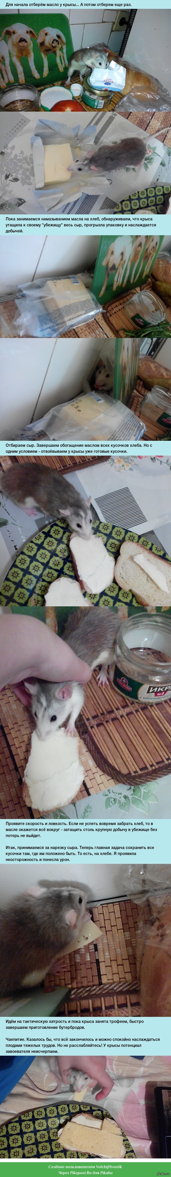 ������� ���������� � �����.