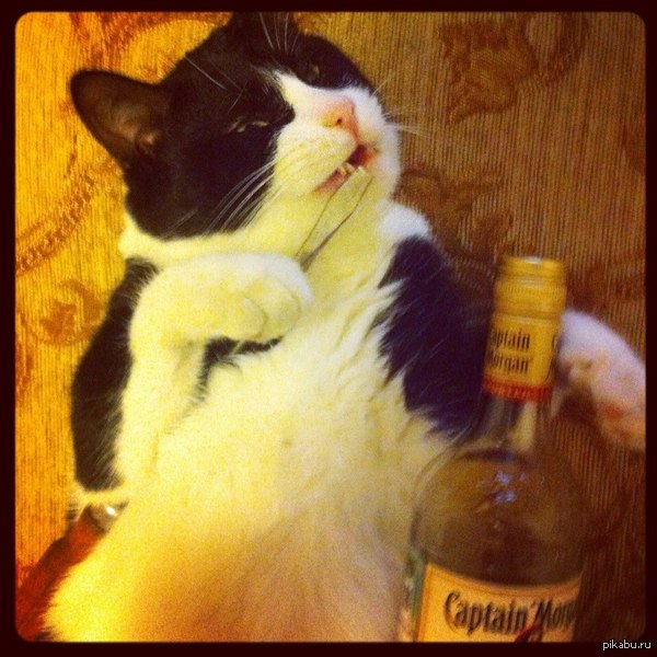 [��������] �������� ��������!