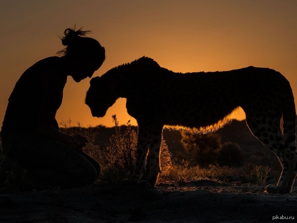 ������ ����������  National Geographic