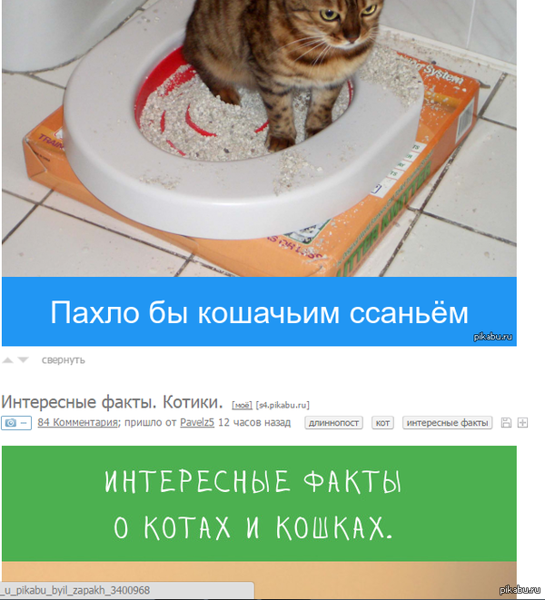 � ������ ������� �����